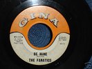 THE FANATICS rare 1965 US / TX. GARAGE /PSYCH/FUZZ/ G45