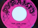 rare Garage Psych Rock 45 TAMRONS stop look listen Hear