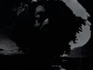 Overnight Players Babylon Destruction UK Cha Cha Listen