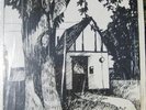 NAOMI - COTTAGE SONGS private psych soft femme folk mp3