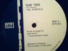 THE RADICALS - RUM TREE - ROOTS 12