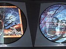 MERCYFUL FATE - IN THE SHADOWS PICTURE DISC Lim 300