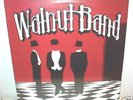 WALNUT BAND  self titled  LP  sealed   private pressing