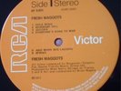 Fresh Maggots : Fresh Maggots UK Original LP- No Sleeve