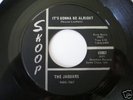 KILLER GARAGE PUNK  THE JAGUARS 