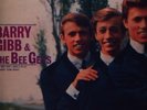 The Bee Gees Sing And Play 14 Barry Gibb Songs Leedon