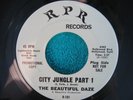 BEAUTIFUL DAZE City Jungle RARE PSYCH/GARAGE/FUZZ 45