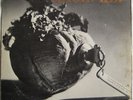 NATTURA Magic Key  Iceland prog psych LP HEAR