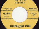 RARE DOO-WOP - DEL-SATINS - COUNTING TEAR DROPS - HEAR