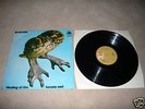 ++ Healing of the Lunatic Owl - BRAINCHILD - psych RARE