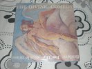 the divine comedy fanfare for the comic muse org lp