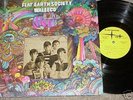 FLAT EARTH SOCIETY WALEECO US LP ORIG FLEETWOOD PSYCH