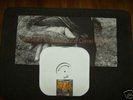 Cold World Dedicated To...TEST PRESS nyhc blacklisted