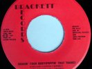 rare Electro Boogie 45 SPECIAL TOUCH on BRACKETT Listen