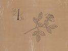 rare Private Modern Soul LP SMALLWOOD just 4 you Listen
