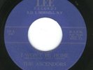 NEW YORK GARAGE 45--THE ASCENDORS--LEE--HEAR 