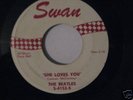 RARE Beatles 45 She Loves You SWAN 4152 1963