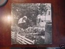 JANDEK Telegraph Melts LP acid archives folk RARE orig.