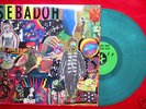 SEBADOH Smash Your Head On The Punk Rock LP Sub Pop '92