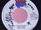 Wild Eyes - Wickedness RARE 45 digi holy grail Listen