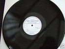 the Moths Lp 1970 Private Pressing excellent con v rare