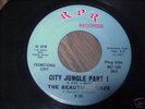 Garage 45 fuzz psych blaster- Beautiful Daze RPR listen