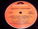 MAESTRO FRESH WES BRING IT ON 12