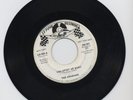 RARE NORTHERN SOUL 45 - ARABIANS - TAKE A CHANCE ON ME