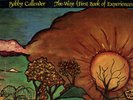 BOBBY CALLENDER/THE WAY/PSYCH/DOUBLE LP/MITHRA