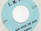 BAND-X How Good the Rain 1966 MICHIGAN garage psych 45