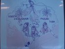 rare Private Psych Acid Folk Loner LP EDDIE CALLAHAN
