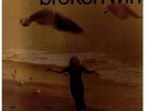 Colleen Lovett  BIRDS WITH BROKEN WINGS funk psych folk