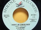 J. D. Bryant northern Rare Shrine 7