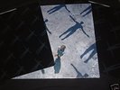 MUSE-ABSOLUTION   RARE 2xLP   MINT