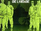 LE PEUPLE DE L'HERBE - PH Test Two