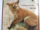 FURRY LEWIS - PRESENTING THE COUNTRY BLUES, BLUE HORIZ
