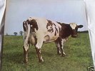 PINK FLOYD ATOM HEART MOTHER A1/B1 HARVEST 1970 EX++