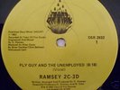RAMSEY 2C-3D FLY GUY AND THE UNEMPLOYED RARE DISCO