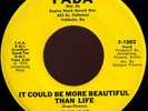 FLIP-DIP More Beautiful Than Life  SOUL XOVER 45 hear