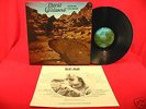 DAVID CHALMERS LOOKING FOR WATER HEAVY PSYCH LP TOP