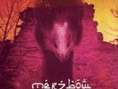 MERZBOW Electro Magnetic Unit rare sealed Japan noise