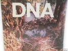 A Taste Of DNA EP 1981 NYC No Wave mars avant punk MINT