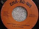 RARE OHIO FUNK 45 - D.A.B. EXPRESS - CHA-RU-WA LABEL
