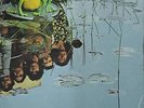 Psych LP Sapo Bell Records 1974 Latin Funk Shrink Rare