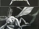 Metallica- Disposible heroes, Live at Loreley Festival
