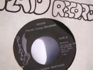 the kicking mustangs- kickin- rare funk