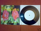Broilers TP 7