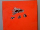 Animal Collective Hollinndagain LP super rare 300 only