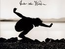 Into The Wild Eddie Vedder Pearl Jam LP Record