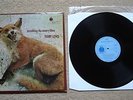 FURRY LEWIS 'COUNTRY BLUES'  BLUE HORIZON nM (VOCALION)